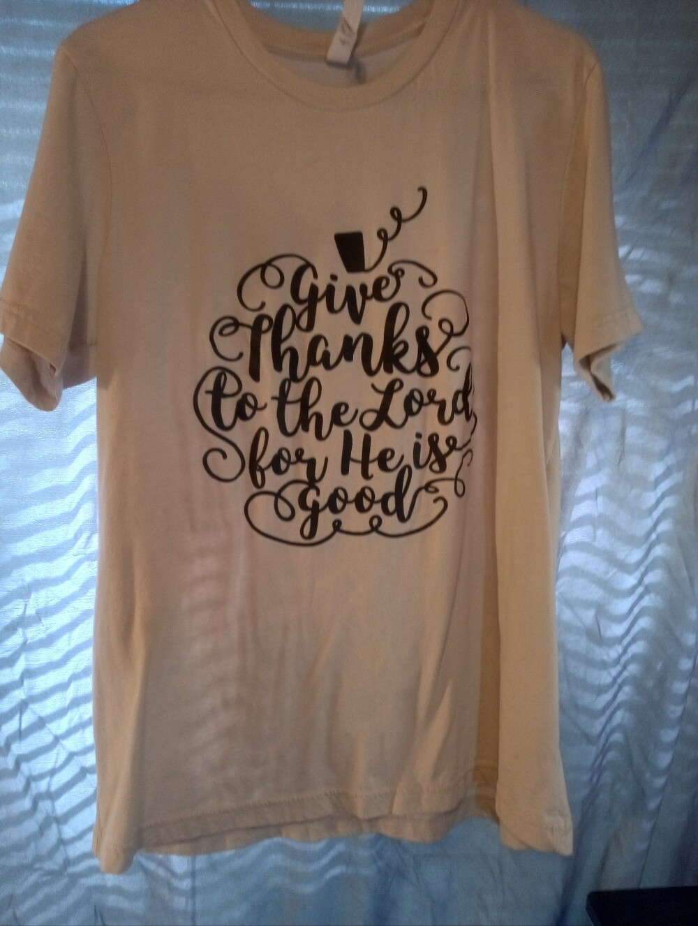 Bella Canvas Cream Short-Sleeve Tee with Black Script